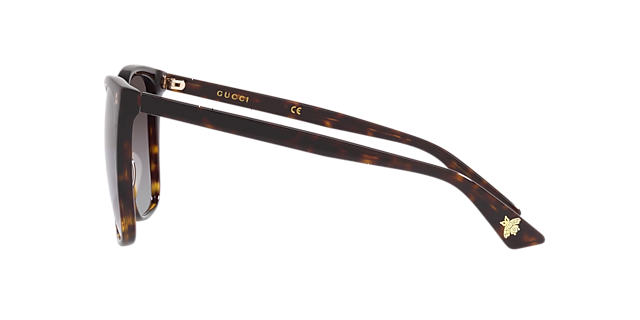 GG0022S Tortoise AcetatSunglass Frames von B24, Seitenansicht