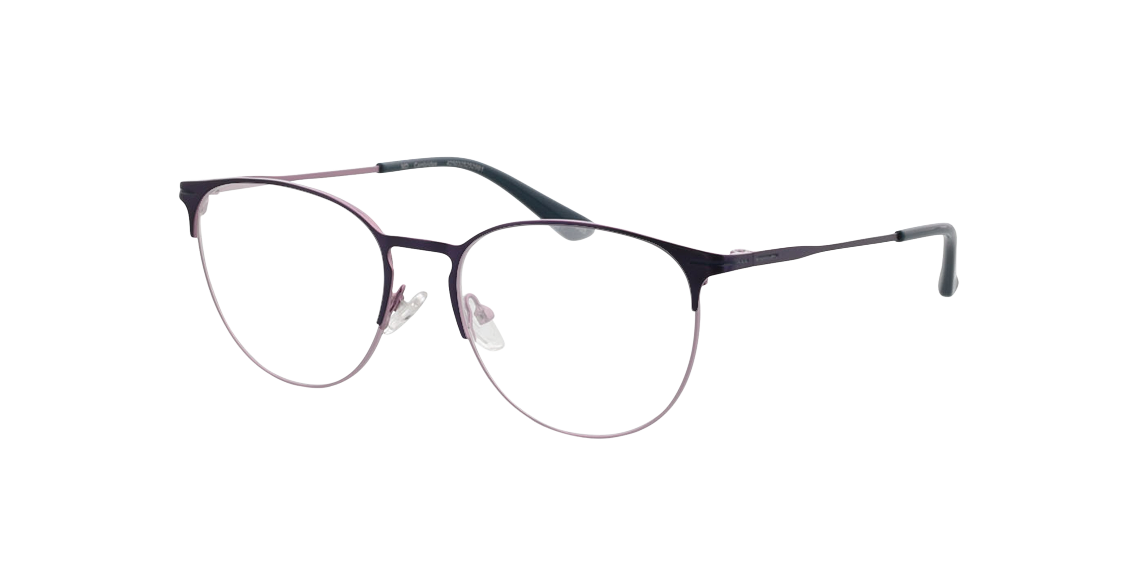 Cambridge Matpaars  &  blauw  &  matroze MetaalEyeglass Frames van B24, Hoekweergave