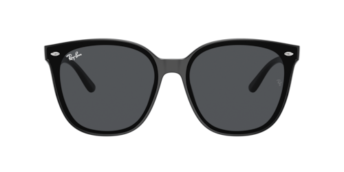 Ray-Ban - RB4423D, Schwarz/Black/Transparent Brown, Größe: X-Large