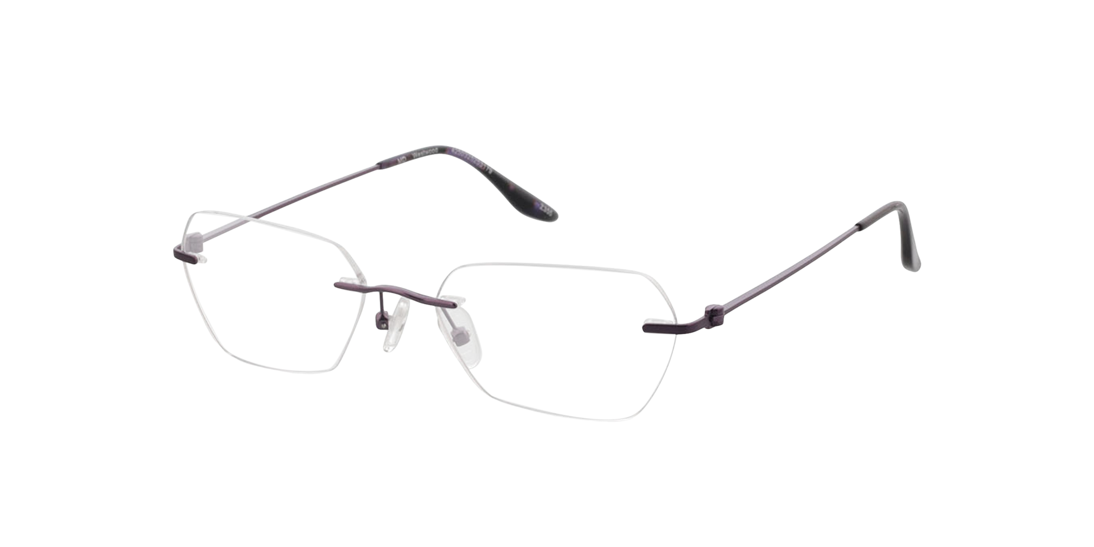 Westwood Matpaars MetaalEyeglass Frames van B24, Hoekweergave