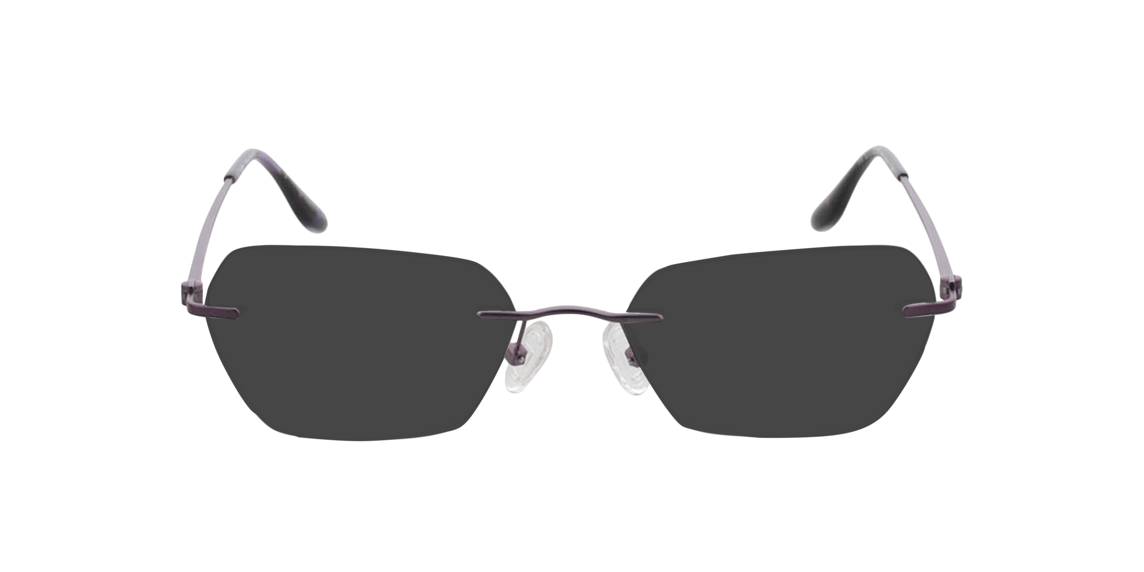 Westwood Matpaars MetaalEyeglass Frames van B24, met getinte lenzen