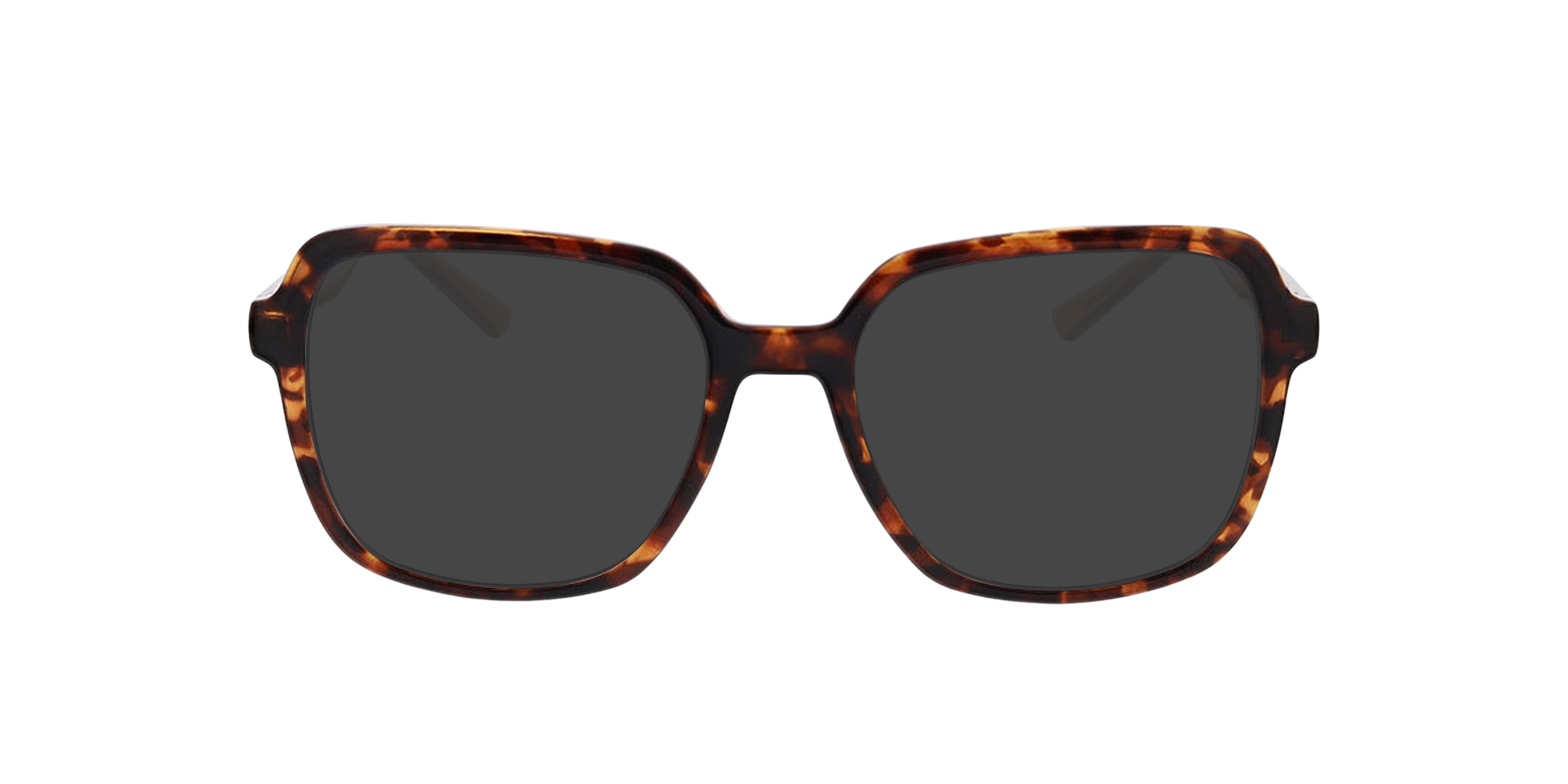 Hanna Havana KunststoffEyeglass Frames von B24, mit getönten Gläsern