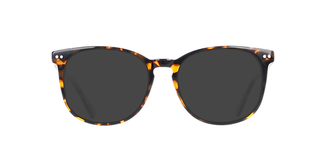 BARRON Brown Marzipan Tortoise AcetaatEyeglass Frames van B24, met getinte lenzen