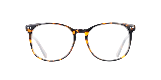 BARRON Brown Marzipan Tortoise AcetaatEyeglass Frames van B24, Vooraanzicht
