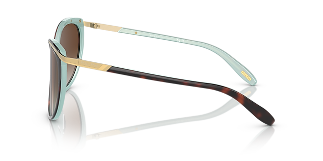 RA5150 Havana On Acquamarine AcetaatSunglass Frames van B24, Zijaanzicht