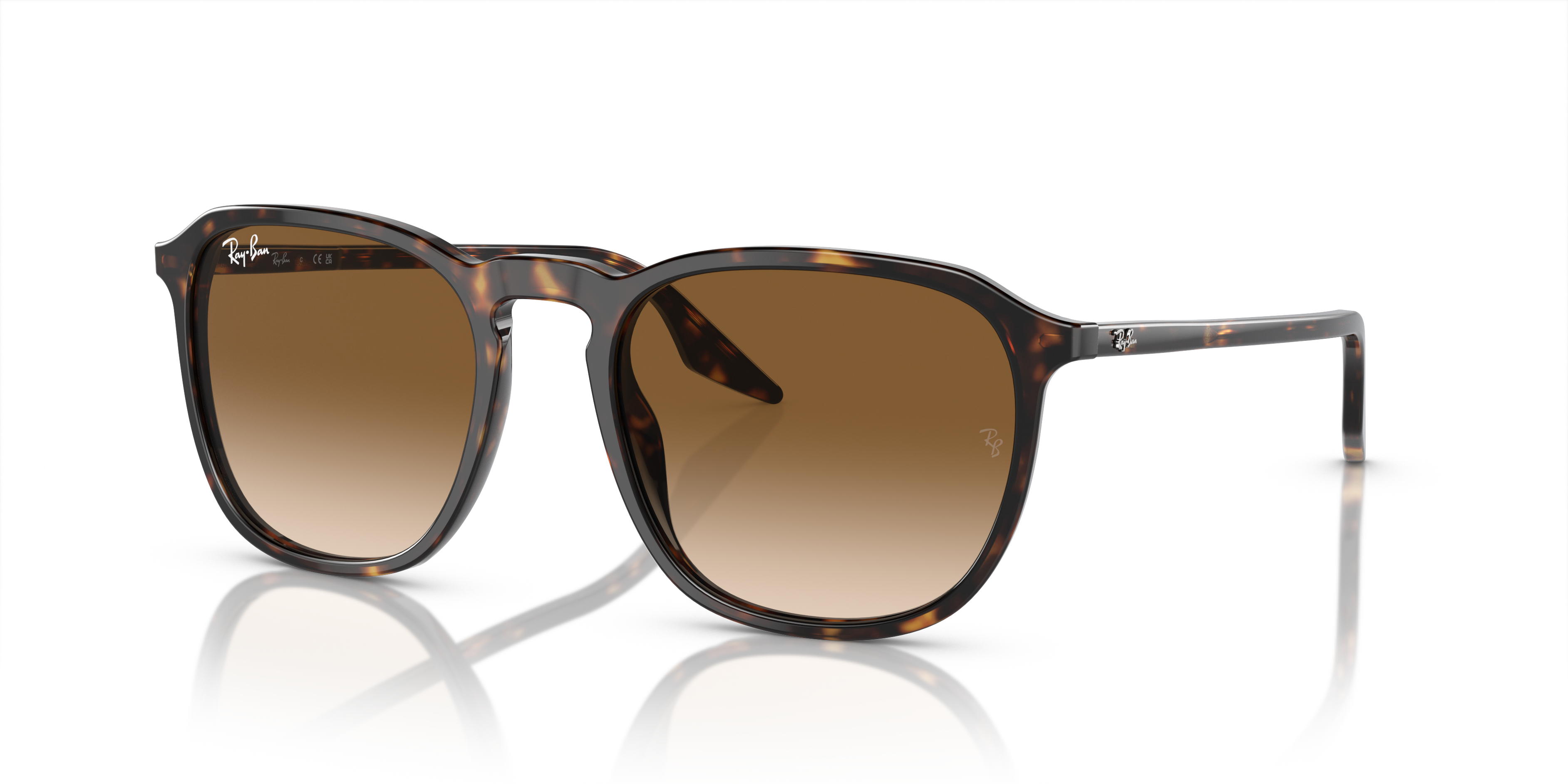 RB2203 Havana AcetaatSunglass Frames van B24, Hoekweergave