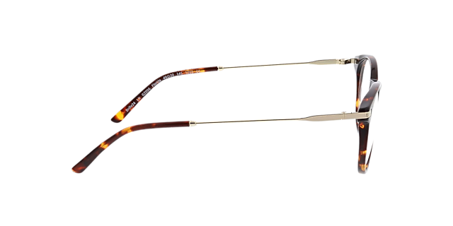 Florida Havana AcetaatEyeglass Frames van B24, Zijaanzicht