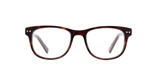 Charlie Temple - Lux, Damen, Moonlight Tortoise/Jet Black/Hazel Tortoise, Größe: Small