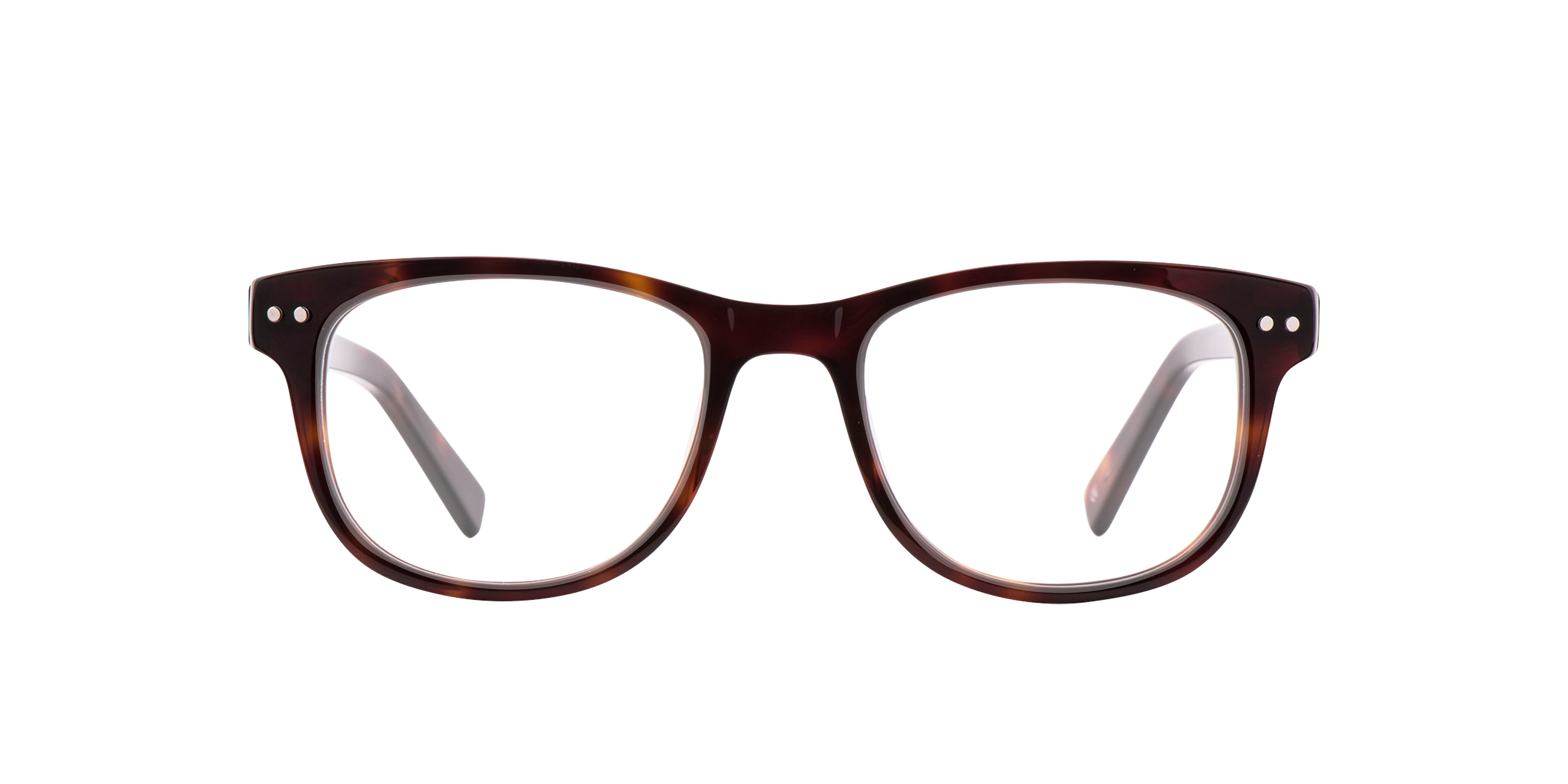 Charlie Temple 8721321260677 Moonlight Tortoise/jet Black/hazel Tortoise, Size: Small