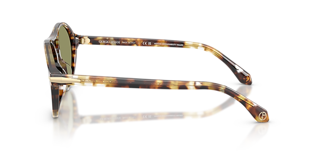 AR8236U Yellow Havana AcetatSunglass Frames von B24, Seitenansicht