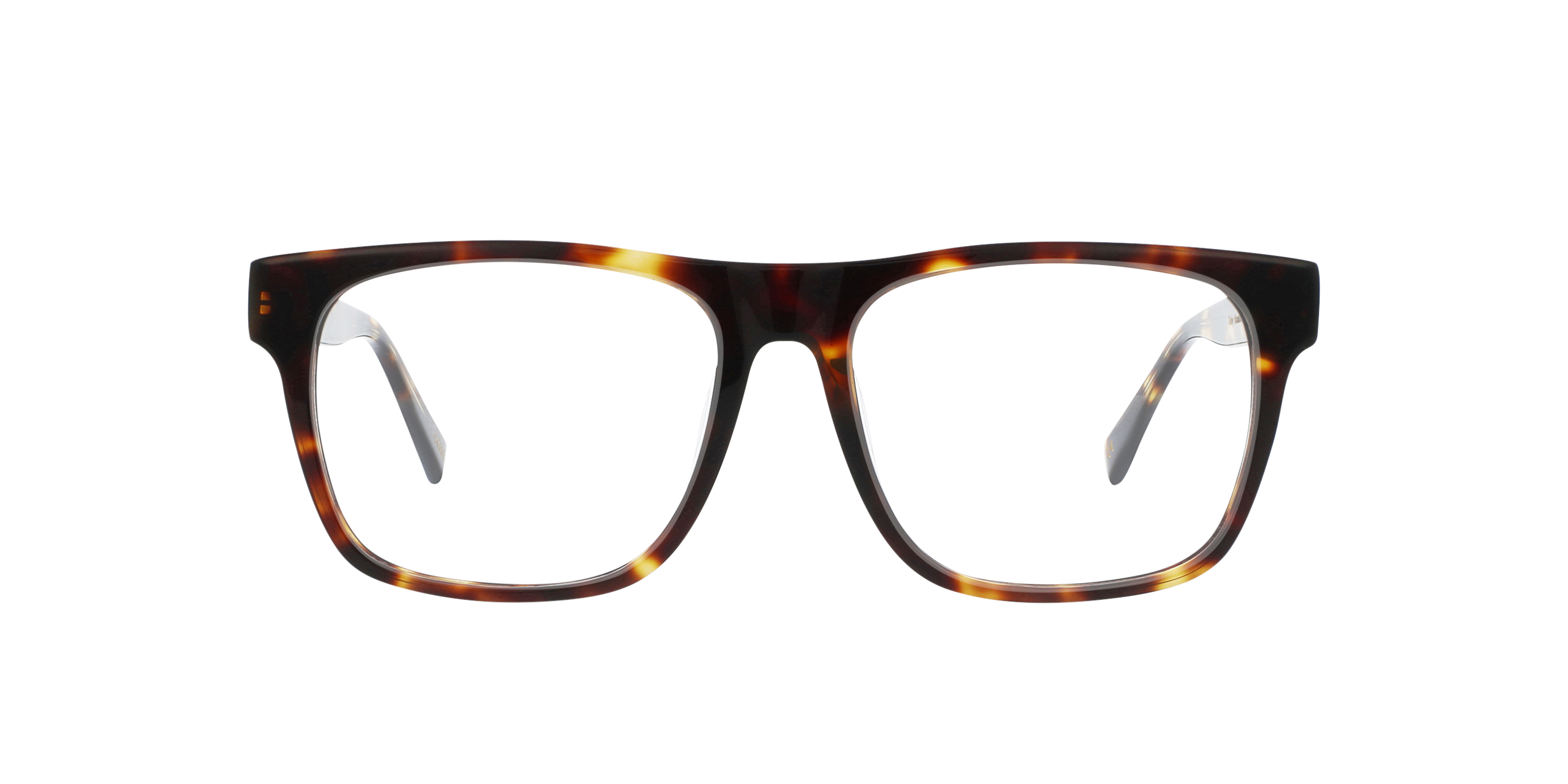 Charlie Temple 8721321261629 Moonlight Tortoise/royal Azure/jet Black, Size: Large