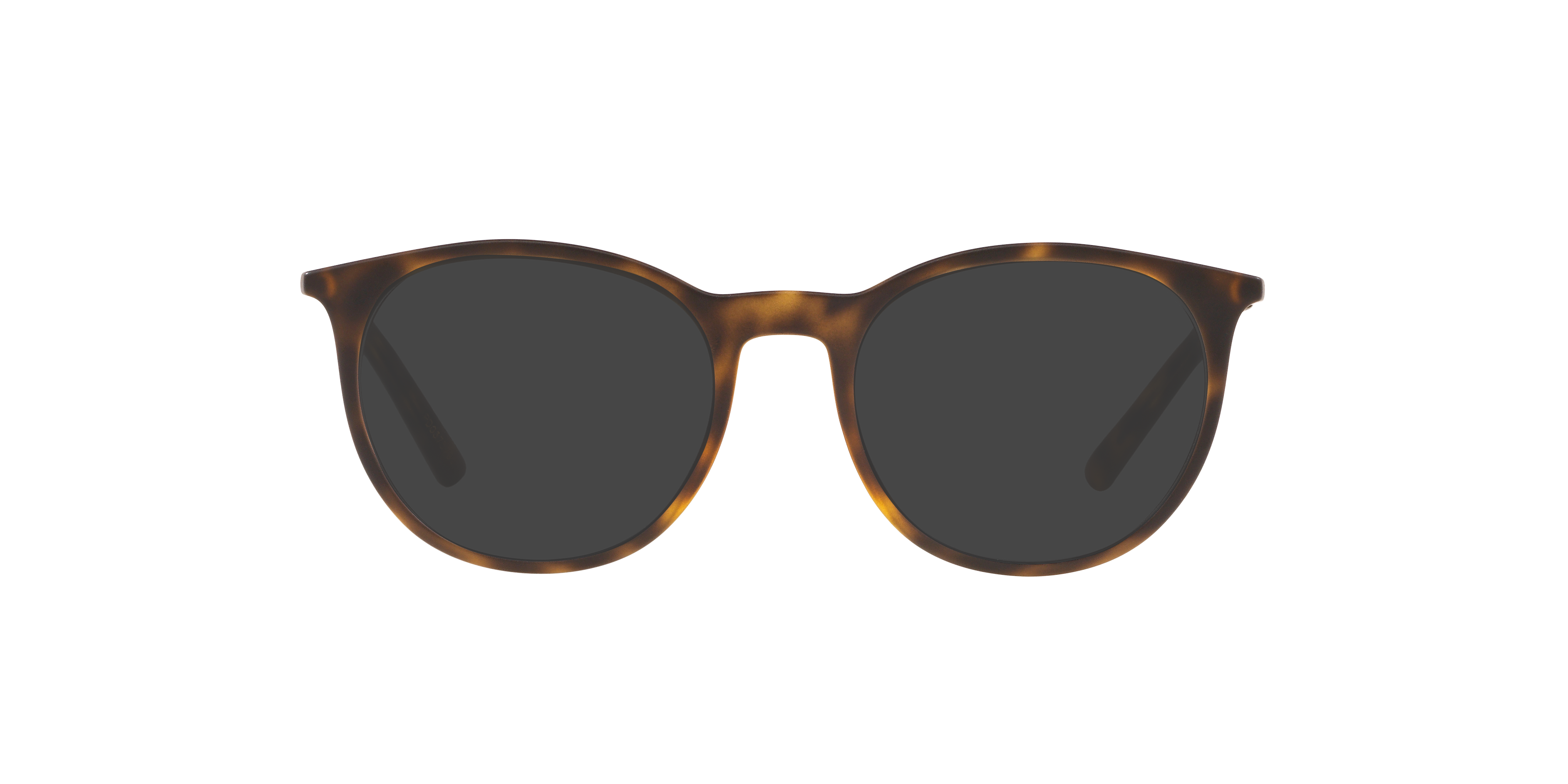 DG5031 Matt Havana KunststoffEyeglass Frames von B24, mit getönten Gläsern