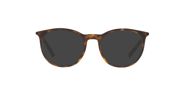 DG5031 Mat Havana KunststofEyeglass Frames van B24, met getinte lenzen