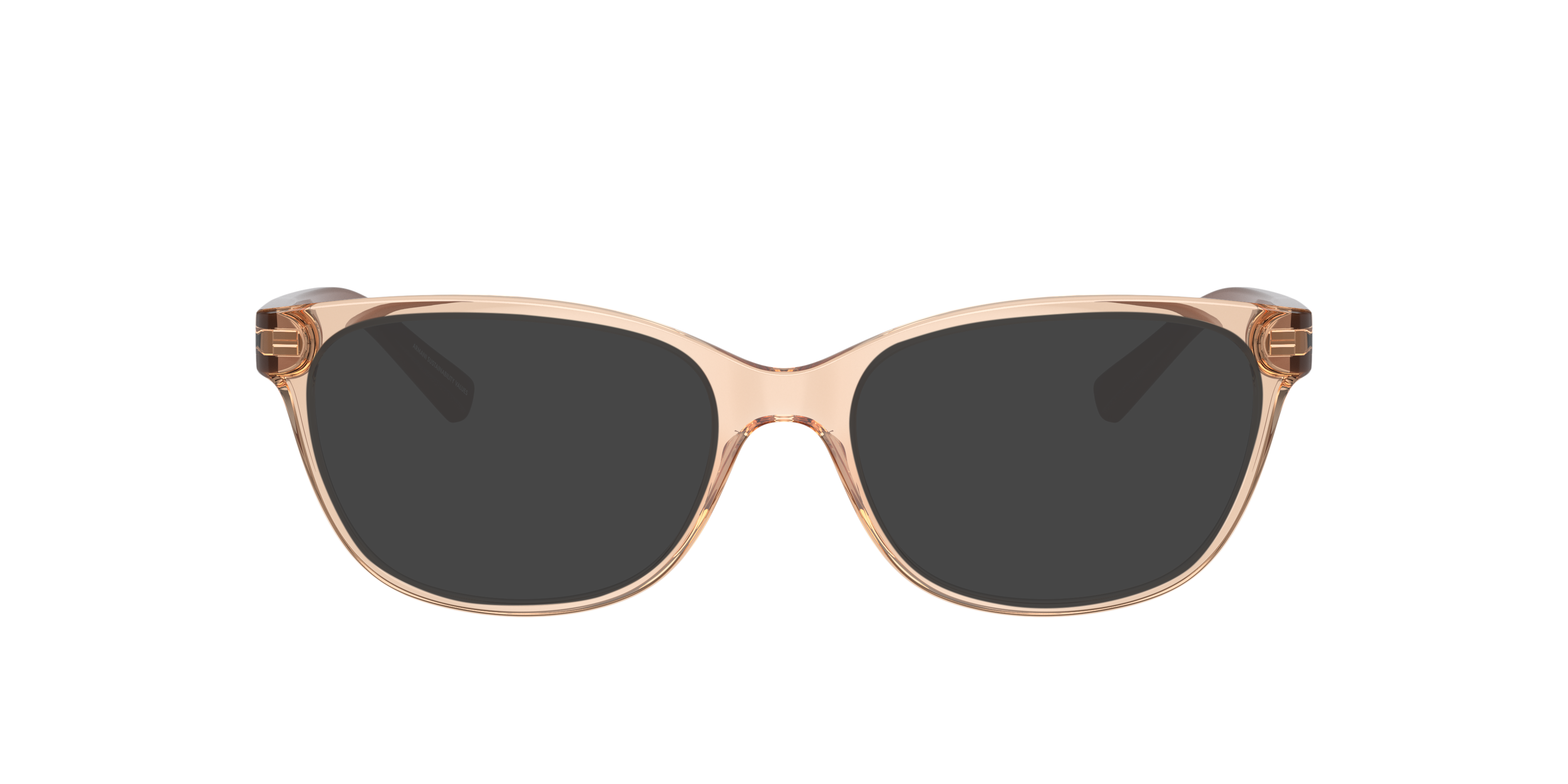 AX3037 Tundra glänzend transparent KunststoffEyeglass Frames von B24, mit getönten Gläsern