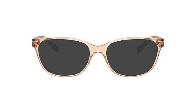 AX3037 Tundra glänzend transparent KunststoffEyeglass Frames von B24, mit getönten Gläsern