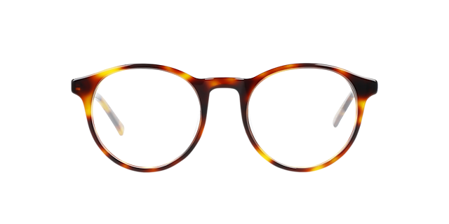 Ruben Havana Cigars AcetatEyeglass Frames von B24, Vorderansicht