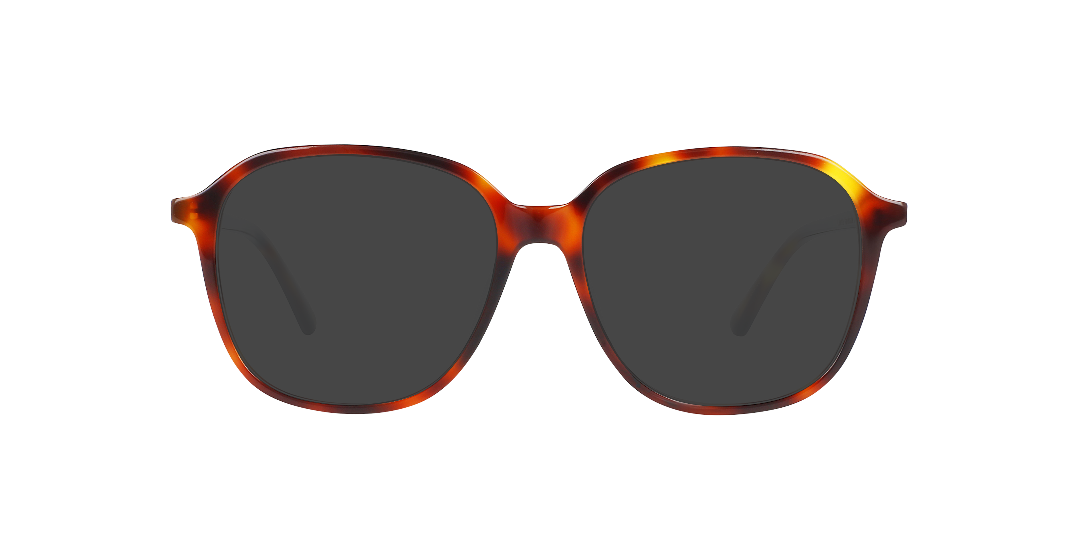 Colette Havana Cigars AcetaatEyeglass Frames van B24, met getinte lenzen