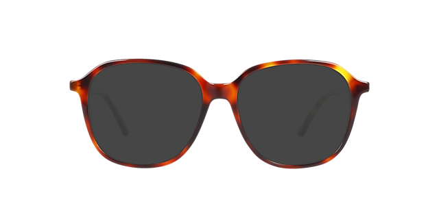 Colette Havana Cigars AcetaatEyeglass Frames van B24, met getinte lenzen