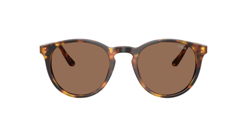 Polo Ralph Lauren - PH4110, Herren, Havana/Transparent Grey/black, Größe: Durchschnittlich