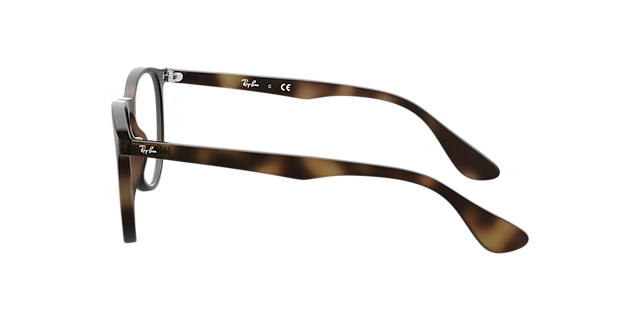 RB7046 Havana KunststofEyeglass Frames van B24, Zijaanzicht