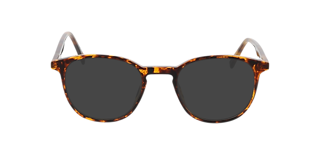 Stanford Havana KunststoffEyeglass Frames von B24, mit getönten Gläsern