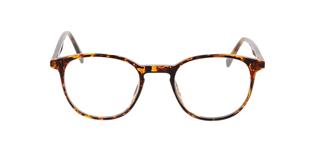 Stanford Havana KunststoffEyeglass Frames von B24, Vorderansicht
