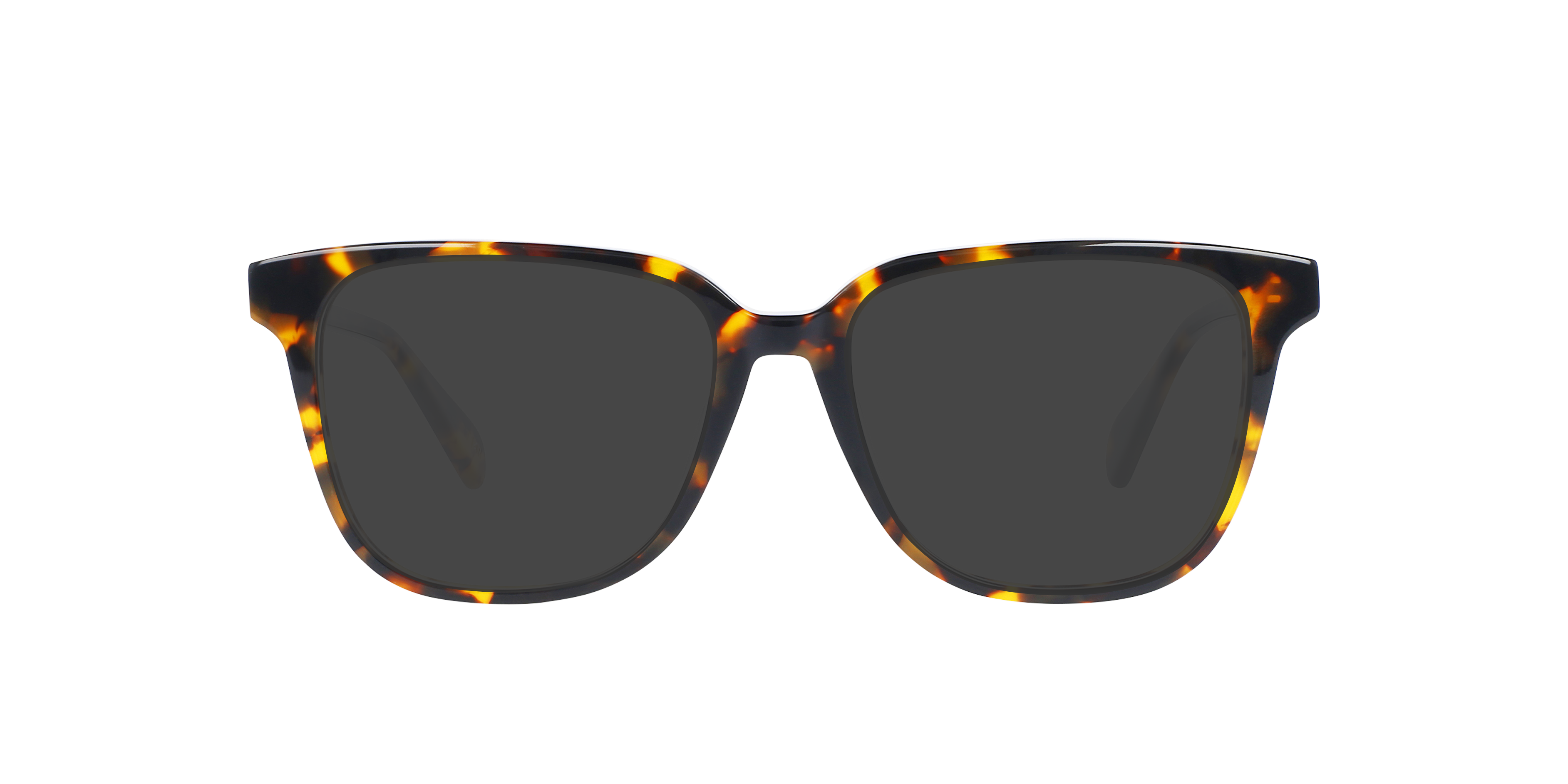 Paxton Garnet Havana AcetaatEyeglass Frames van B24, met getinte lenzen