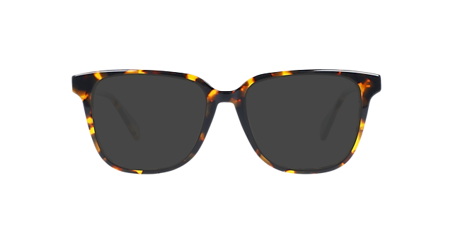 Paxton Garnet Havana AcetatEyeglass Frames von B24, mit getönten Gläsern