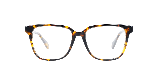 Paxton Garnet Havana AcetatEyeglass Frames von B24, Vorderansicht