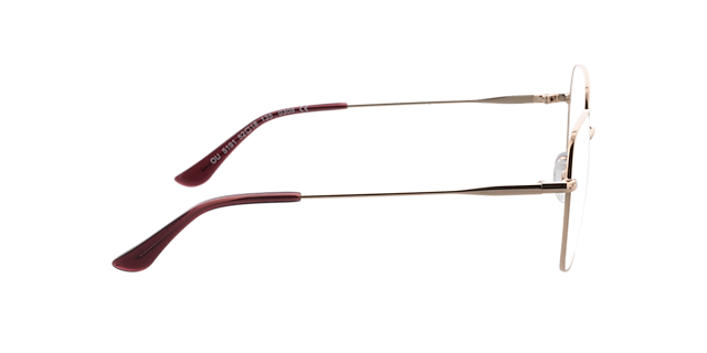 Claire Roze goud  &  paars MetaalEyeglass Frames van B24, Zijaanzicht