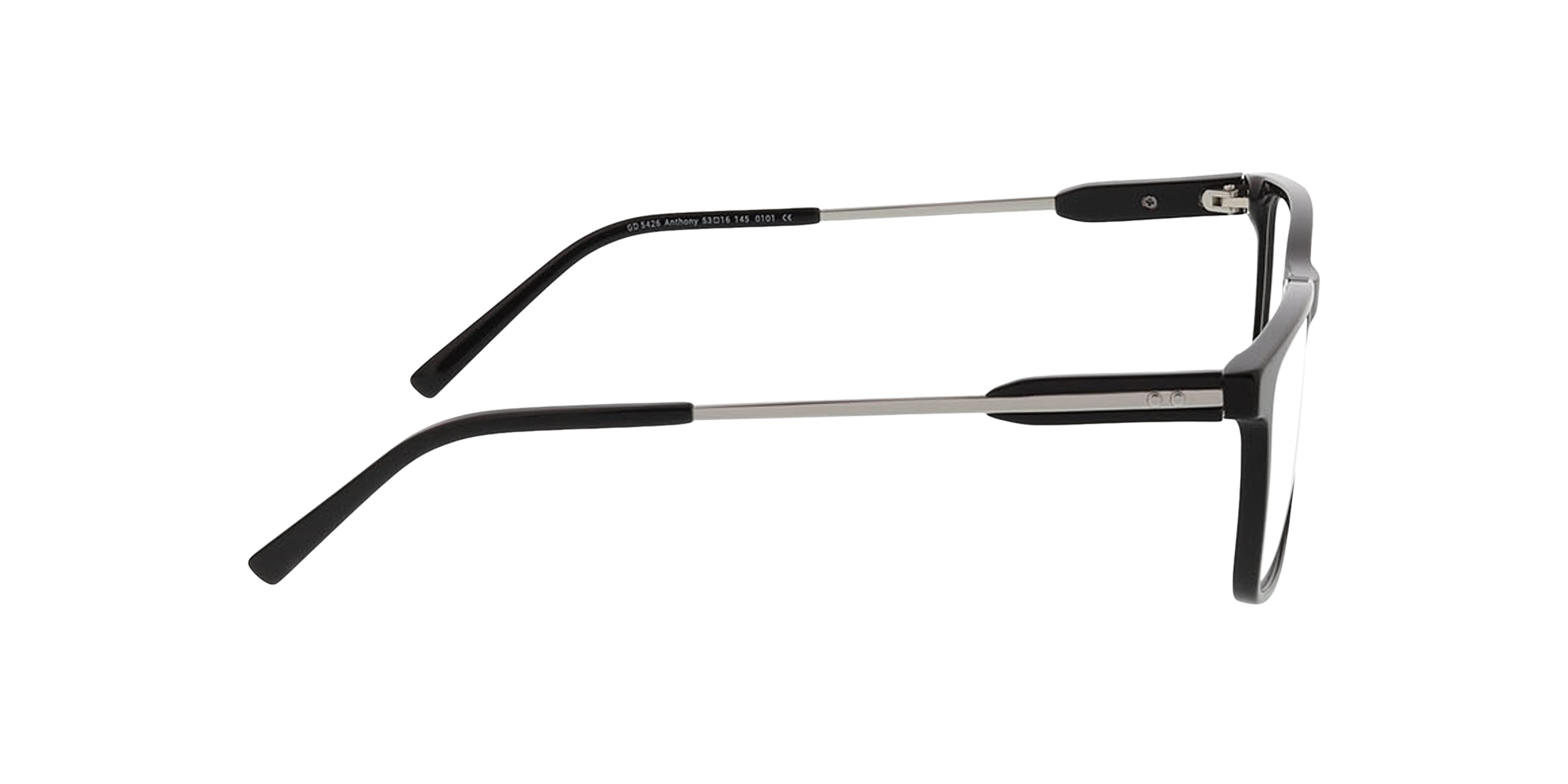 Anthony Schwarz AcetatEyeglass Frames von B24, Seitenansicht