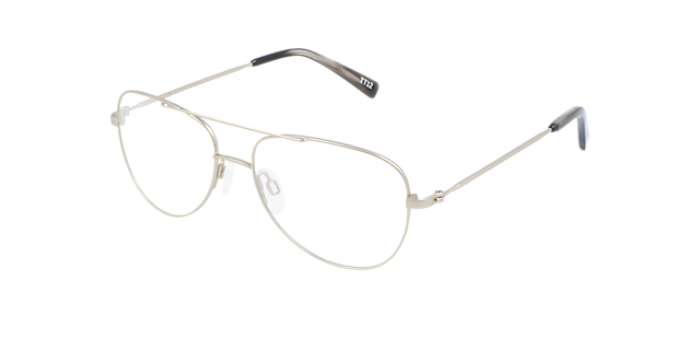 Goose Platinum Silver Titanium TitaanEyeglass Frames van B24, Hoekweergave