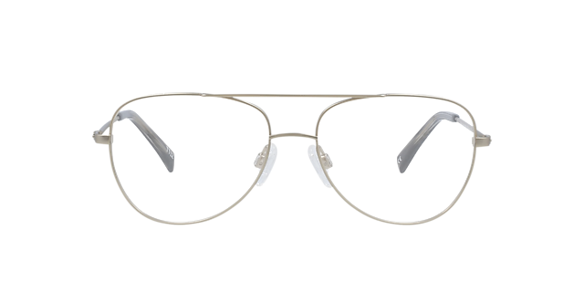 Goose Platinum Silver Titanium TitaanEyeglass Frames van B24, Vooraanzicht