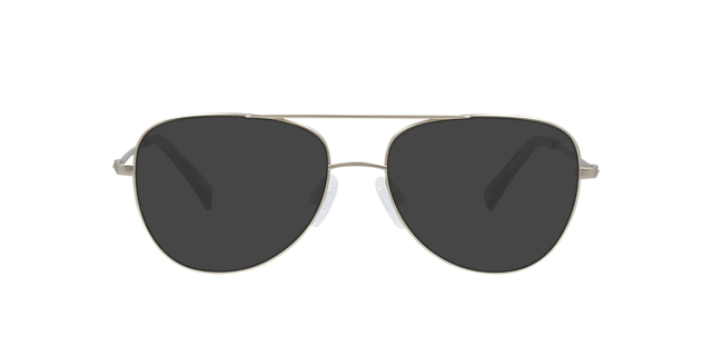 Goose Platinum Silver Titanium TitaanEyeglass Frames van B24, met getinte lenzen