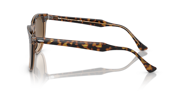 RB2398 Havana auf Braun transparent AcetatSunglass Frames von B24, Seitenansicht