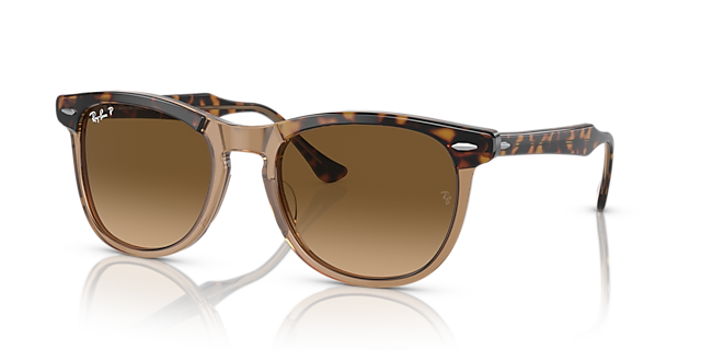 RB2398 Havana auf Braun transparent AcetatSunglass Frames von B24, Dreiviertelansicht