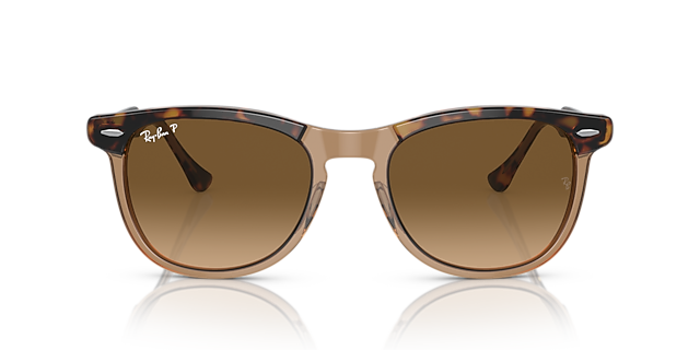 RB2398 Havana auf Braun transparent AcetatSunglass Frames von B24, Vorderansicht