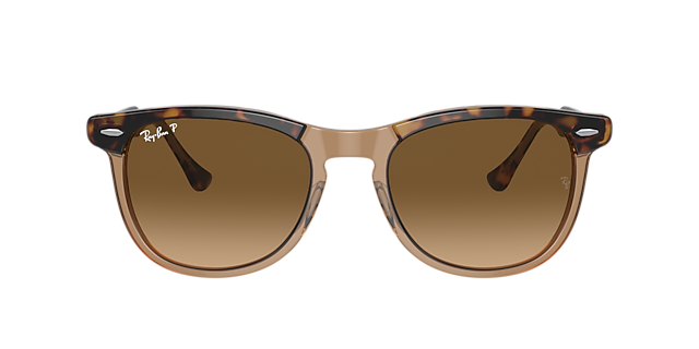 RB2398 Havana auf Braun transparent AcetatSunglass Frames von B24, mit getönten Gläsern