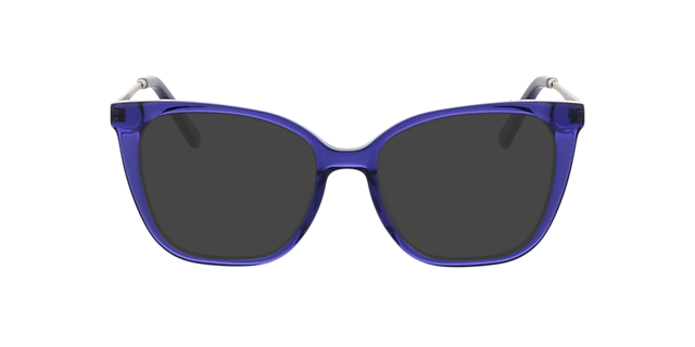 Joyce Kristal paars & matzilver AcetaatEyeglass Frames van B24, met getinte lenzen