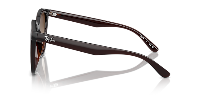 RB4423D Braun transparent KunststoffSunglass Frames von B24, Seitenansicht