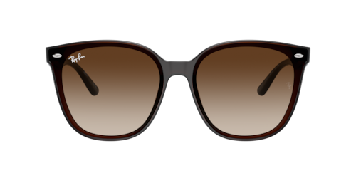 Ray-Ban - RB4423D, Braun transparent/Black/Transparent Brown, Größe: X-Large