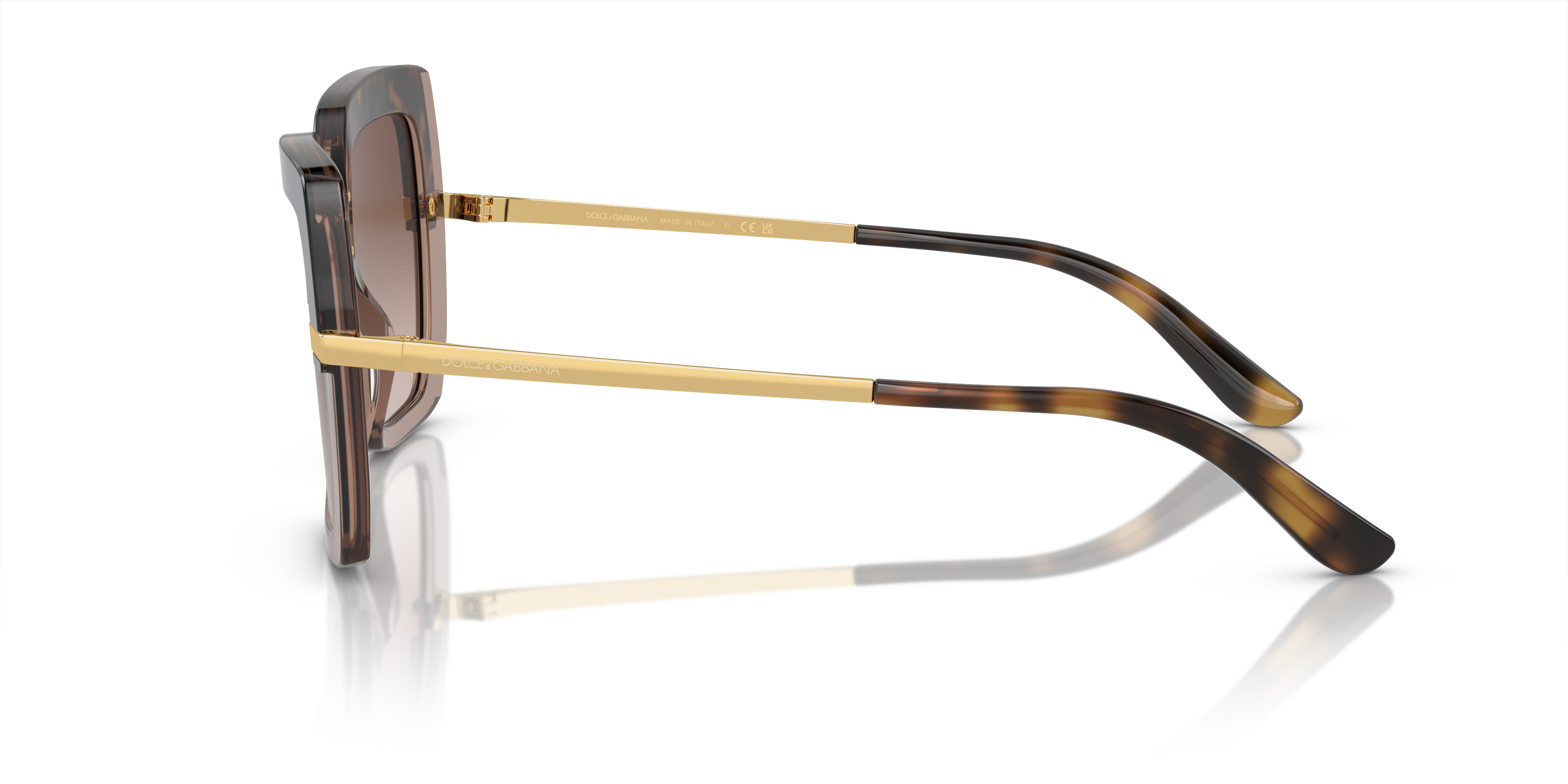 DG4373 Havana auf Braun transparent AcetatSunglass Frames von B24, Seitenansicht