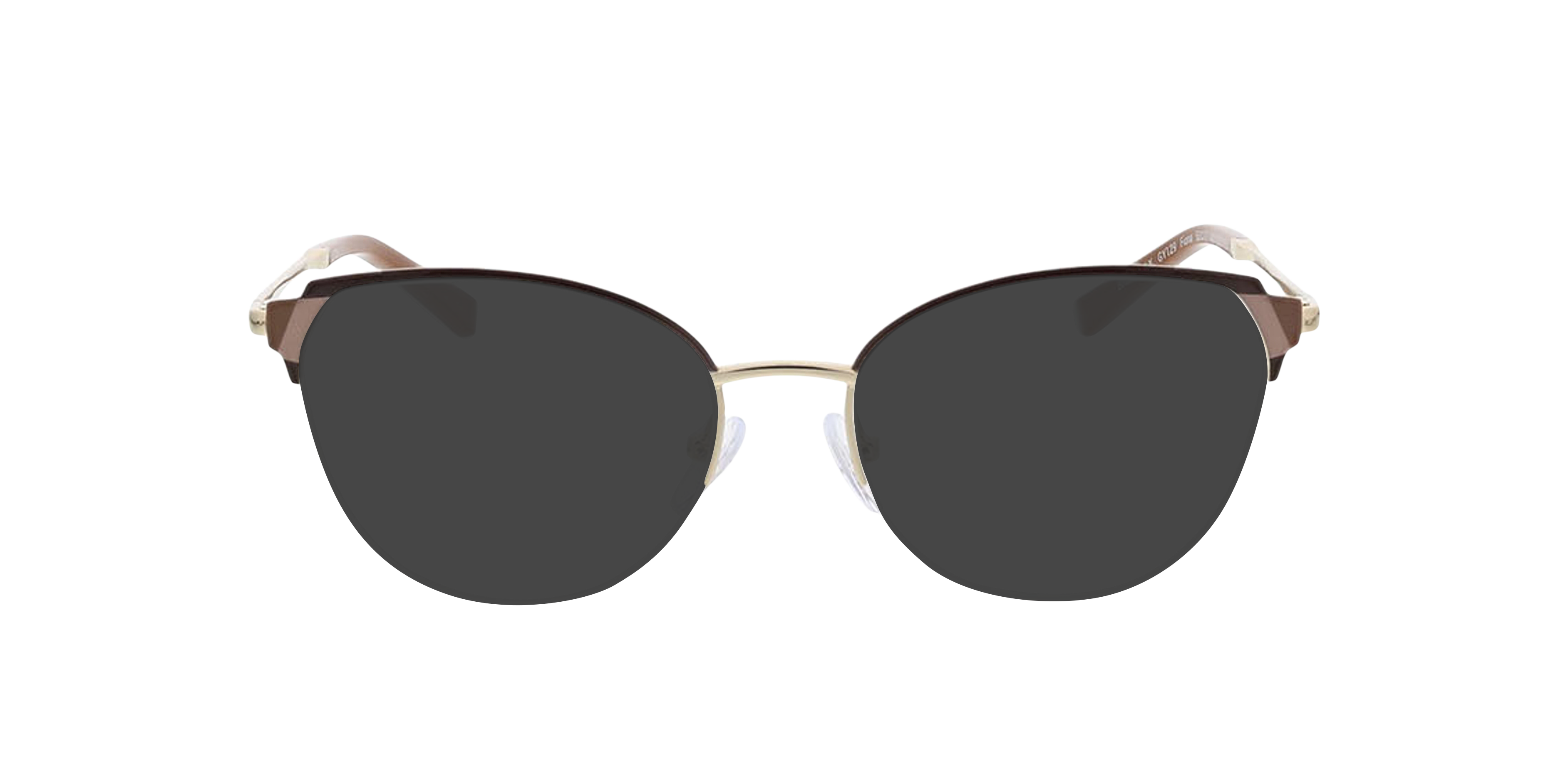 Fiona Bruin & lichtgoud MetaalEyeglass Frames van B24, met getinte lenzen