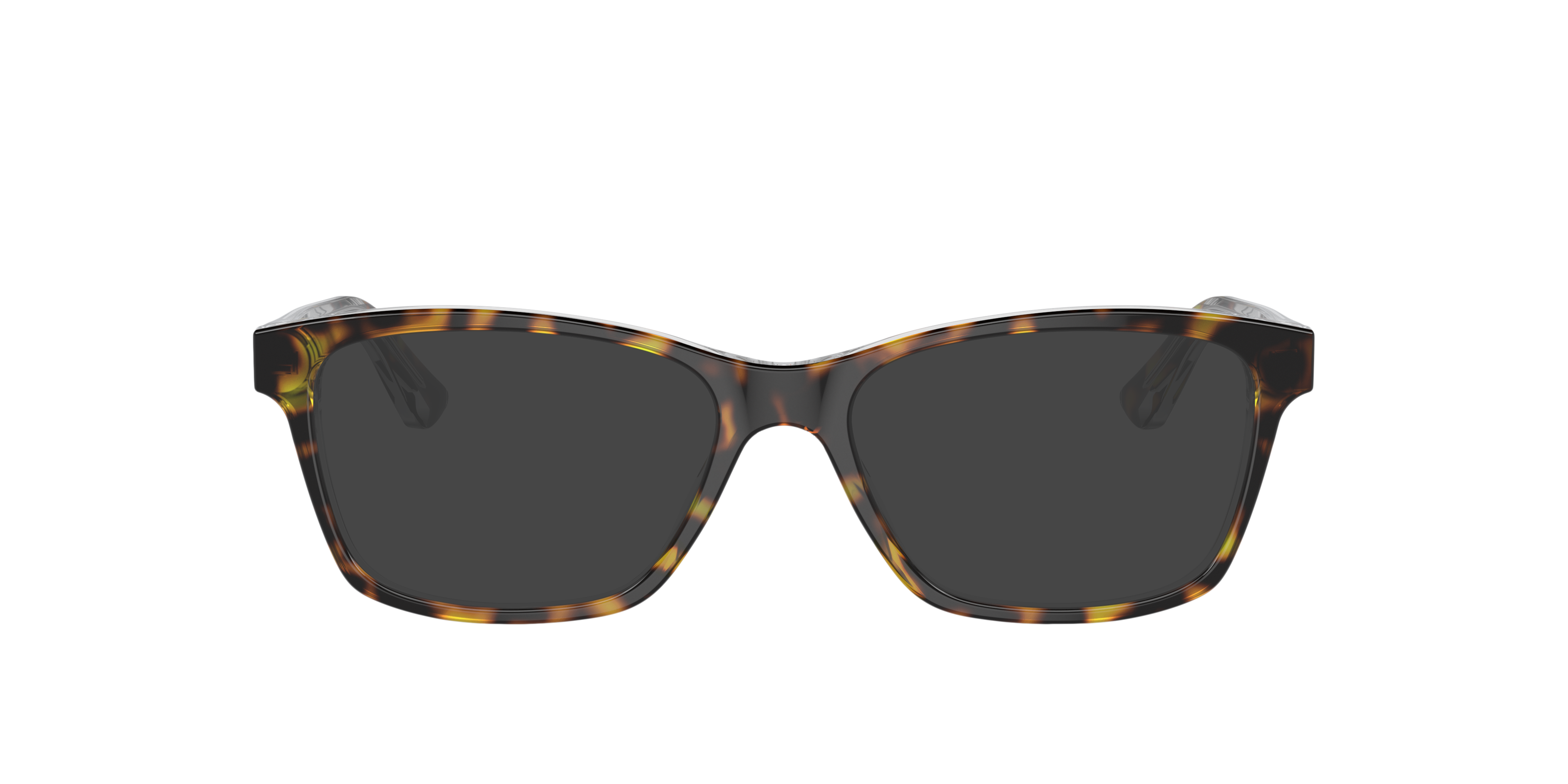 VO2787 Havana AcetaatEyeglass Frames van B24, met getinte lenzen