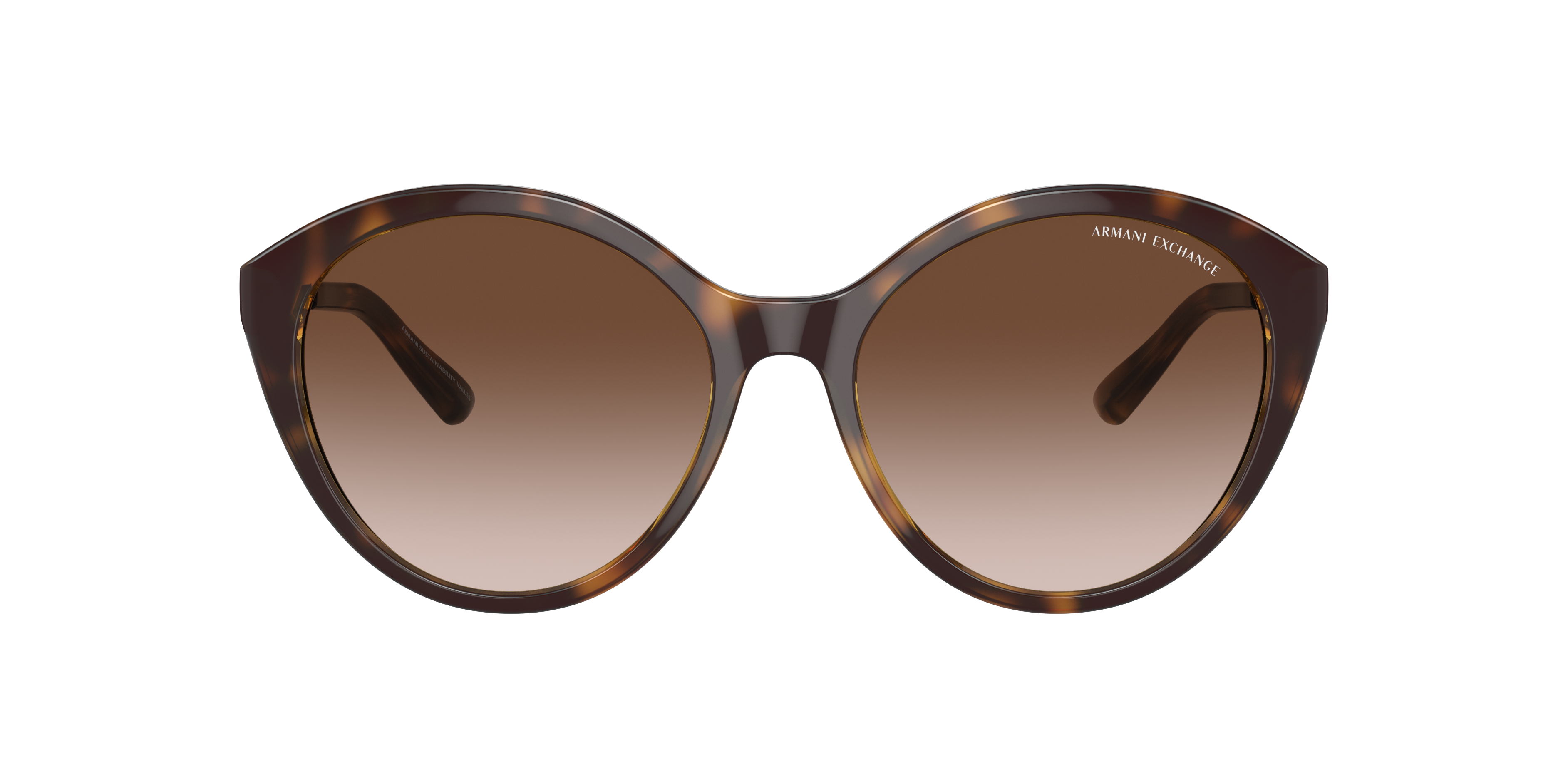 AX4134S Glänzendes Havanna KunststoffSunglass Frames von B24, mit getönten Gläsern