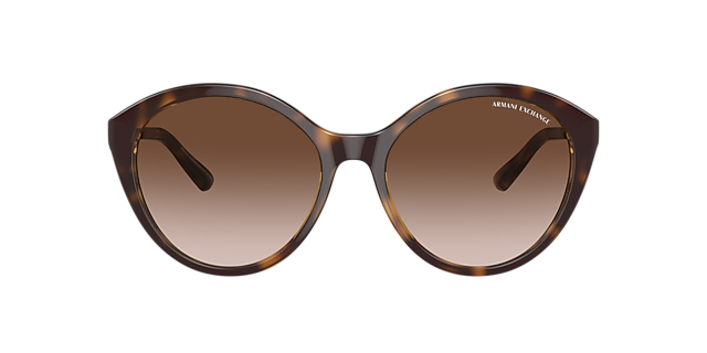 AX4134S Glänzendes Havanna KunststoffSunglass Frames von B24, mit getönten Gläsern