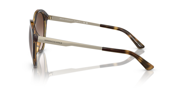 AX4134S Glänzendes Havanna KunststoffSunglass Frames von B24, Seitenansicht