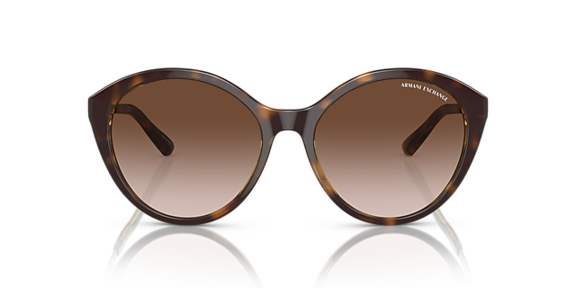 AX4134S Glänzendes Havanna KunststoffSunglass Frames von B24, Vorderansicht