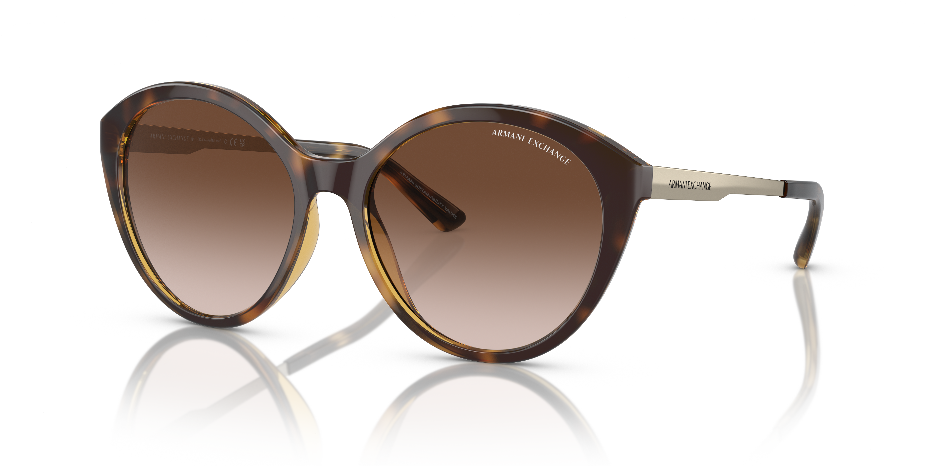 AX4134S Glänzendes Havanna KunststoffSunglass Frames von B24, Dreiviertelansicht