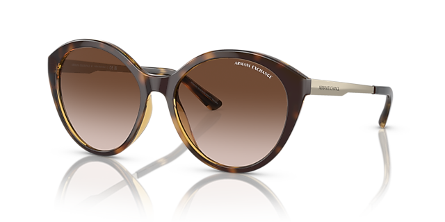 AX4134S Glänzendes Havanna KunststoffSunglass Frames von B24, Dreiviertelansicht